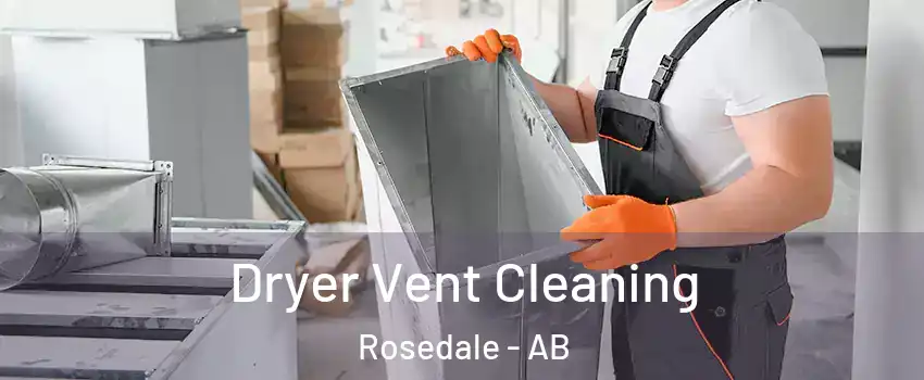 Dryer Vent Cleaning Rosedale - AB