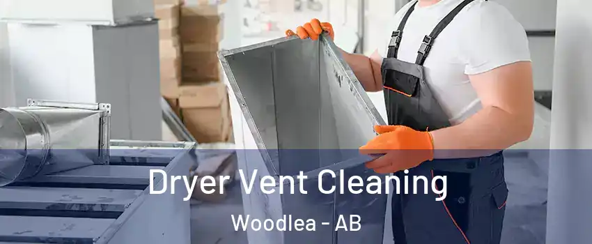  Dryer Vent Cleaning Woodlea - AB