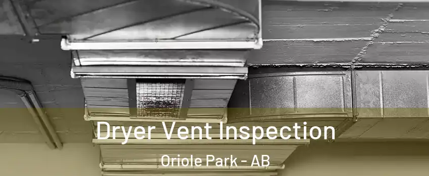 Dryer Vent Inspection Oriole Park - AB