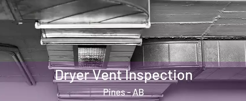 Dryer Vent Inspection Pines - AB