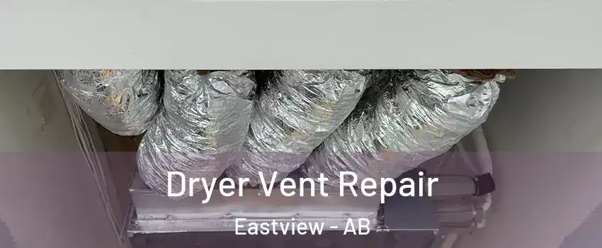 Dryer Vent Repair Eastview - AB
