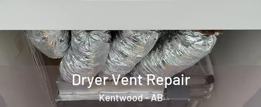 Dryer Vent Repair Kentwood - AB