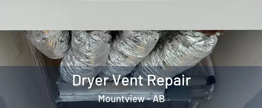  Dryer Vent Repair Mountview - AB