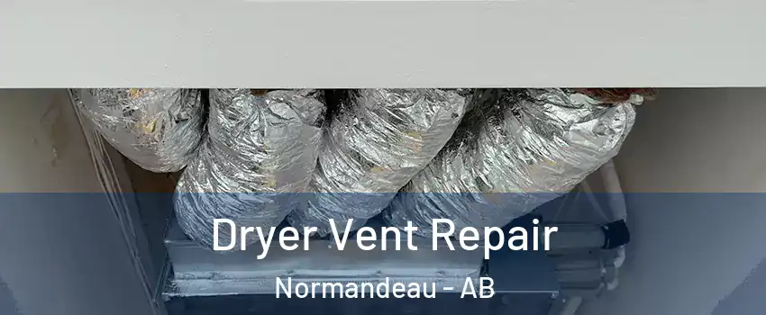  Dryer Vent Repair Normandeau - AB