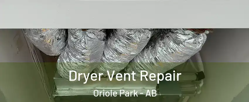Dryer Vent Repair Oriole Park - AB