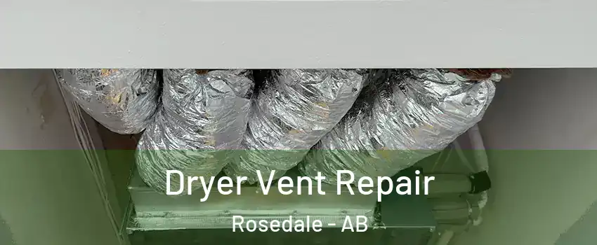  Dryer Vent Repair Rosedale - AB