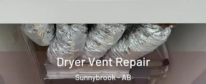  Dryer Vent Repair Sunnybrook - AB