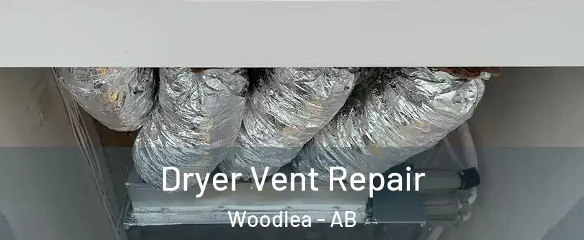 Dryer Vent Repair Woodlea - AB