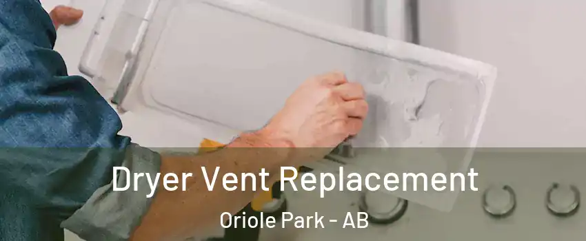  Dryer Vent Replacement Oriole Park - AB