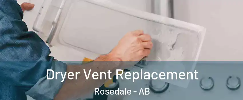 Dryer Vent Replacement Rosedale - AB