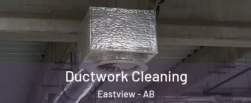 Ductwork Cleaning Eastview - AB