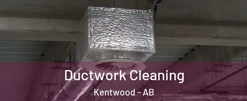 Ductwork Cleaning Kentwood - AB