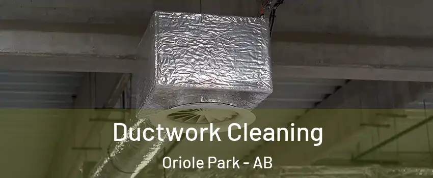  Ductwork Cleaning Oriole Park - AB