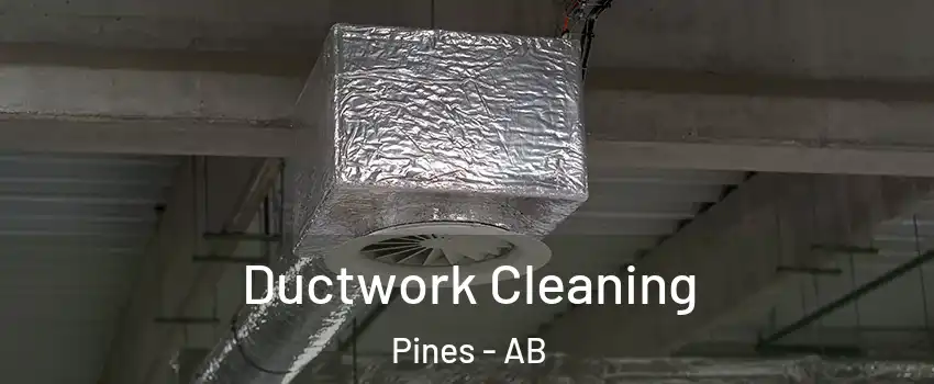 Ductwork Cleaning Pines - AB