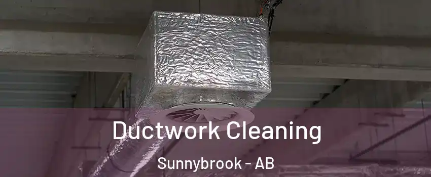  Ductwork Cleaning Sunnybrook - AB
