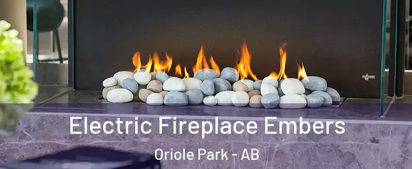 Electric Fireplace Embers Oriole Park - AB