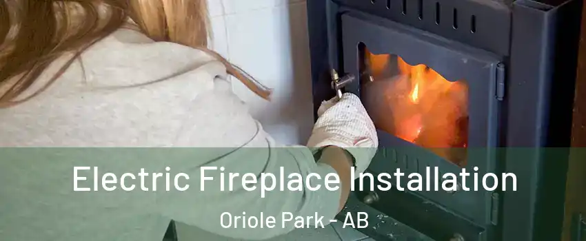  Electric Fireplace Installation Oriole Park - AB