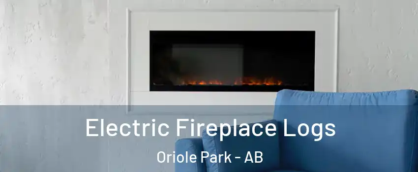 Electric Fireplace Logs Oriole Park - AB