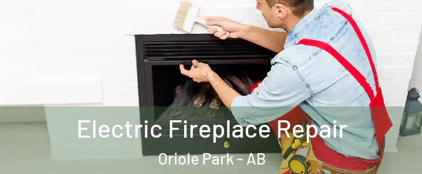 Electric Fireplace Repair Oriole Park - AB
