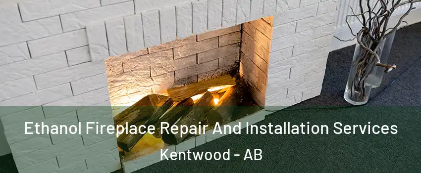  Ethanol Fireplace Repair And Installation Services Kentwood - AB