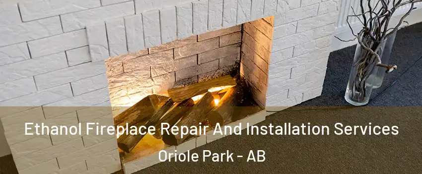  Ethanol Fireplace Repair And Installation Services Oriole Park - AB