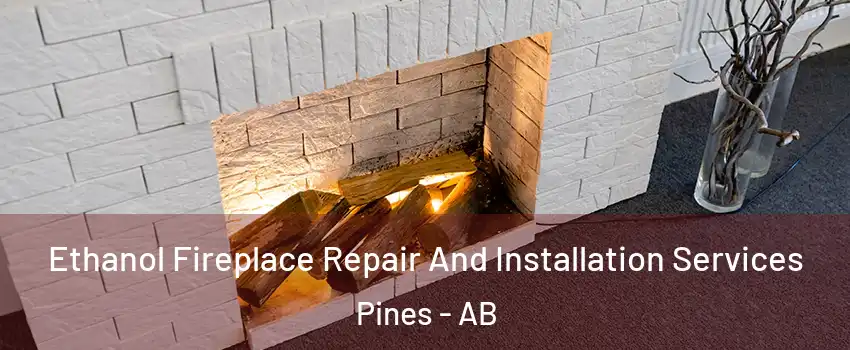 Ethanol Fireplace Repair And Installation Services Pines - AB