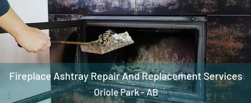 Fireplace Ashtray Repair And Replacement Services Oriole Park - AB
