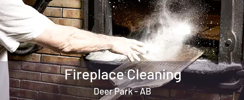 Fireplace Cleaning Deer Park - AB