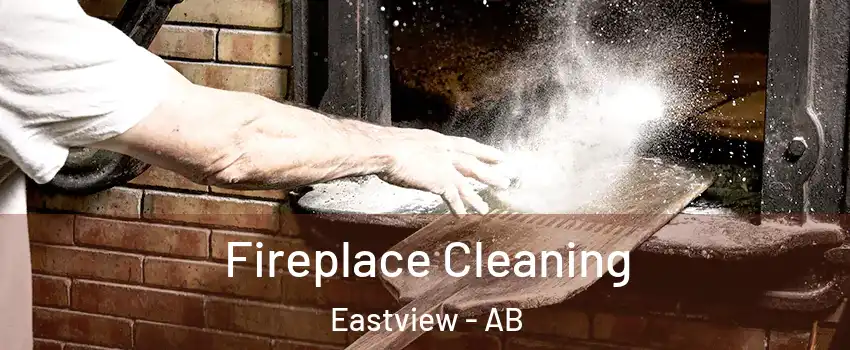 Fireplace Cleaning Eastview - AB