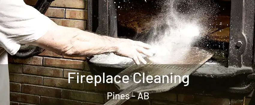 Fireplace Cleaning Pines - AB