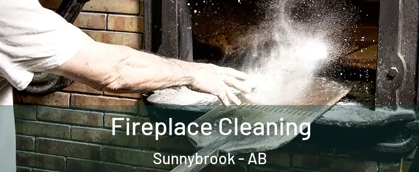 Fireplace Cleaning Sunnybrook - AB