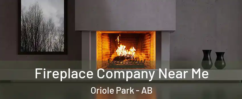 Fireplace Company Near Me Oriole Park - AB