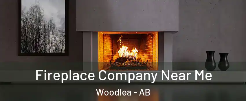 Fireplace Company Near Me Woodlea - AB