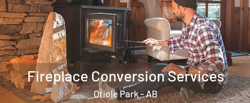 Fireplace Conversion Services Oriole Park - AB