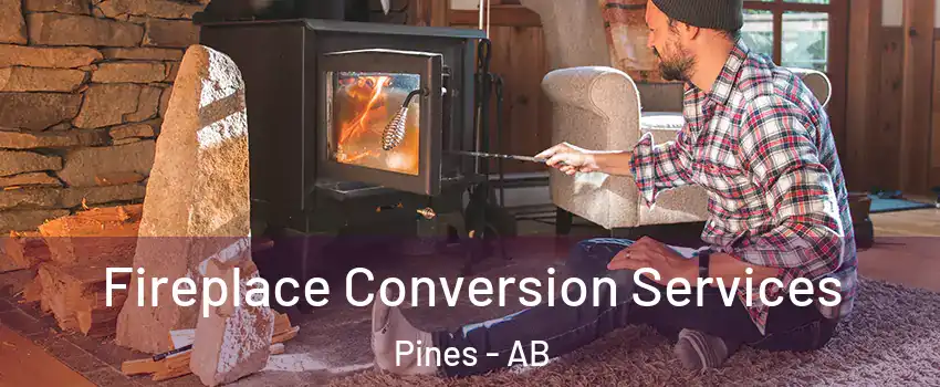  Fireplace Conversion Services Pines - AB