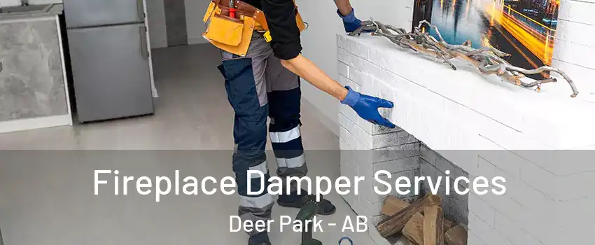 Fireplace Damper Services Deer Park - AB