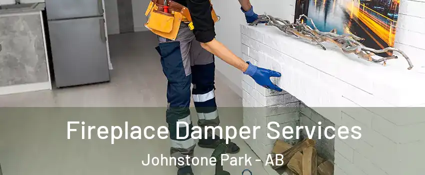 Fireplace Damper Services Johnstone Park - AB