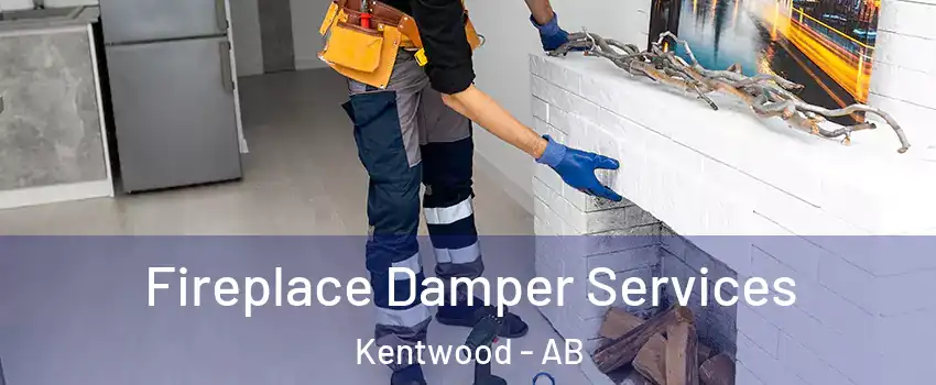 Fireplace Damper Services Kentwood - AB