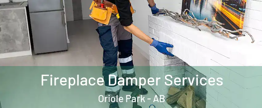 Fireplace Damper Services Oriole Park - AB
