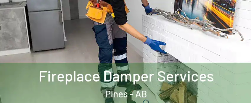 Fireplace Damper Services Pines - AB