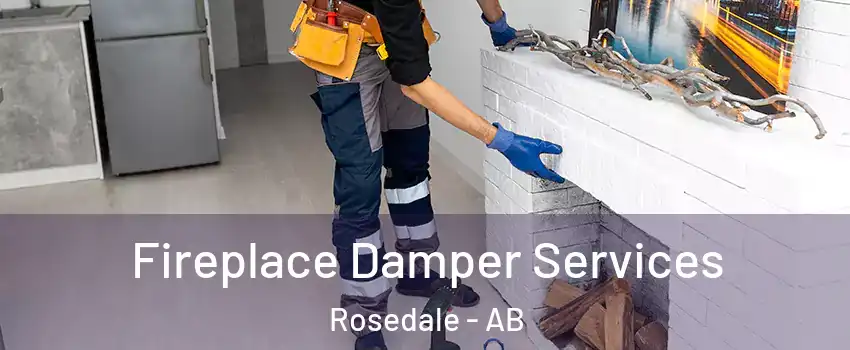 Fireplace Damper Services Rosedale - AB