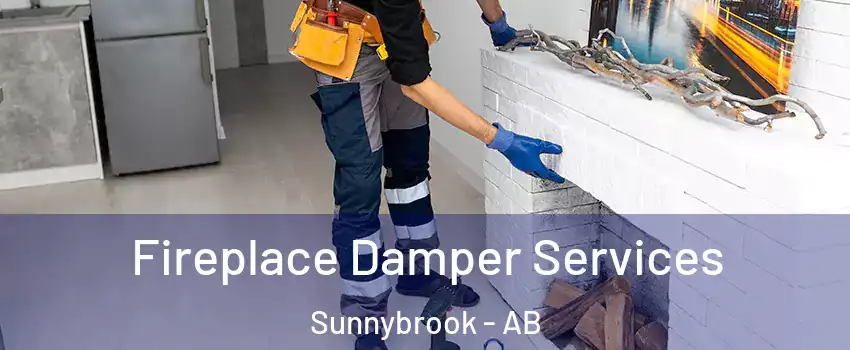 Fireplace Damper Services Sunnybrook - AB
