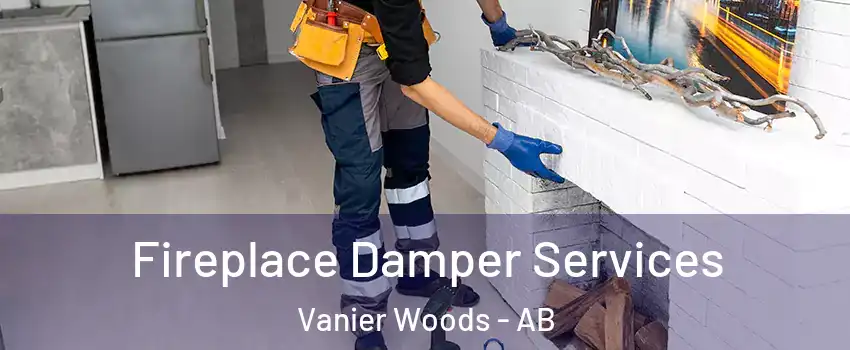 Fireplace Damper Services Vanier Woods - AB