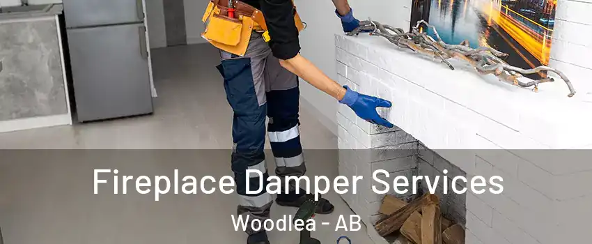 Fireplace Damper Services Woodlea - AB