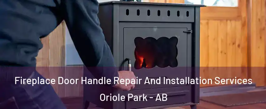 Fireplace Door Handle Repair And Installation Services Oriole Park - AB