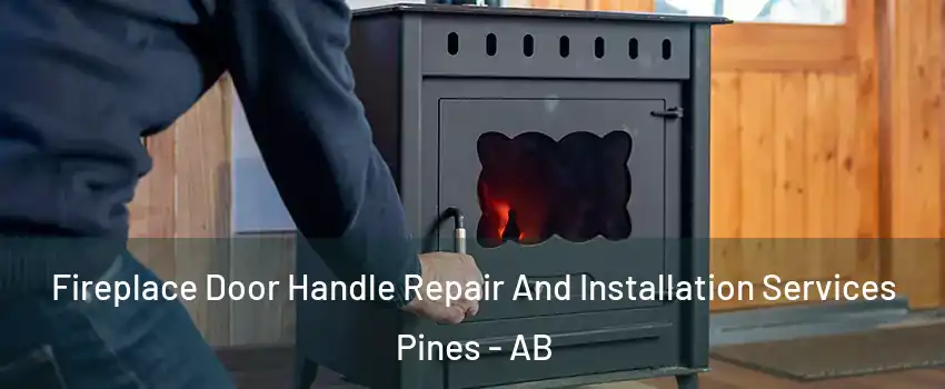 Fireplace Door Handle Repair And Installation Services Pines - AB