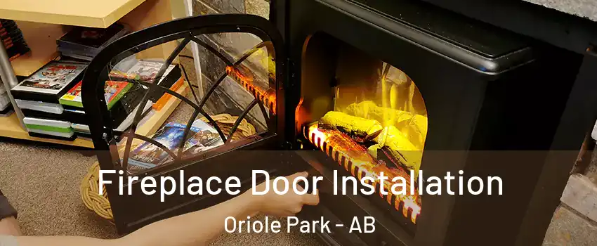 Fireplace Door Installation Oriole Park - AB