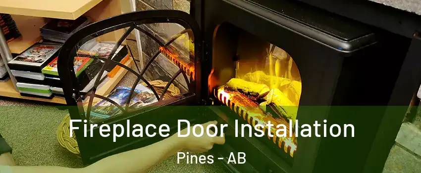 Fireplace Door Installation Pines - AB