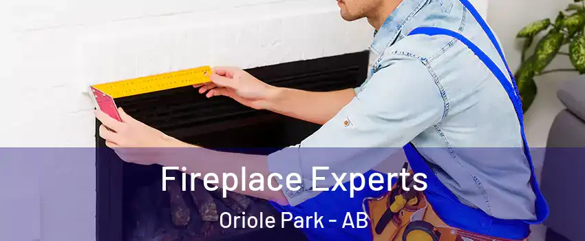 Fireplace Experts Oriole Park - AB