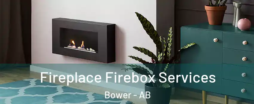 Fireplace Firebox Services Bower - AB